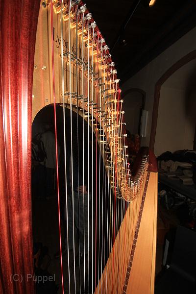 20110702-1200 AltRH_Magic Harps_D-F1055-IMGA8337-5.jpg